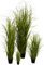 Klocke Kunstpflanzen Hochwertiges & Künstliches Gras/Dekogras im Topf - Wunderschön & Naturgetreu - Grasarrangement/Gras Arrangement/Grasbüschel/Grasbündel (Klein: 45cm)