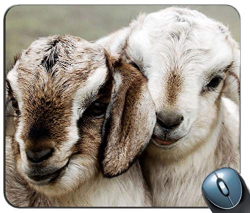 Mauspad Gaming-Mauspad Wasserdichtes Mauspad Ultradickes, seidiges, glattes, genähtes Kantenmuster Schönes Lammmuster