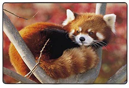 BEULSI Roter Panda-Teppich, gepolsterte Komfortmatte für Wohnzimmer, Küche, Büro und Garage, rutschfester Teppich, große Fläche