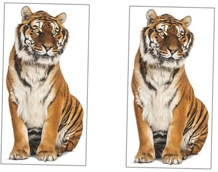 Homoyoyo 2St Cartoon Tiger Aufkleber wilde Kratzen rustikale Wohnkultur Dekor Tier Indoor-Szene-Ornament Einzigartiger Aufkleber in Tigerform Karikatur Wandtattoos Kindergarten schmücken 3d