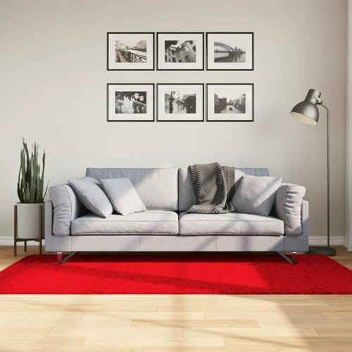 AUUIJKJF Home Items, Teppich OVIEDO Kurzflor Rot 100x200 cm, Anzugmöbel