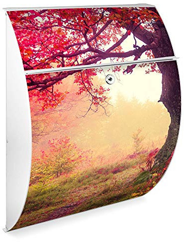 Burg Wächter Design Briefkasten| Modell Riviera 46cmx33,5cmx13cm groß| verzinkter Stahl weiß | Postkasten mit Öffnungsstopp, großer A4 Einwurf, Zylinderschloss, 2 Schlüssel Lichtung Im Herbst