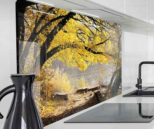 timalo Herd Spritzschutz Wand Spüle, Küche Küchenrückwand Glasoptik | Acryl Glas 2mm | Glasrückwand Acrylglas Küchenpaneele Rückwandschutz Platte | 120x80cm Wald Herbst Blätter