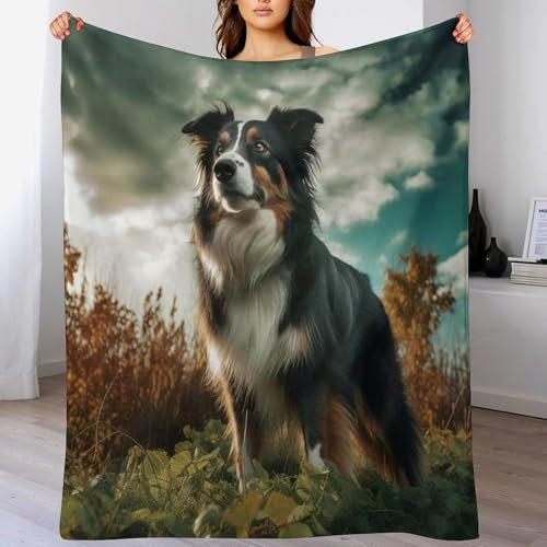 PAZZK Border Collie Decke Flauschig & Super Weich - Hochwertige Flannel Fleecedecke Auch Als Wohndecke, Tagesdecke, Sofadecke & Wohnzimmer Geeignet - Überwurf Decke Sofa & Couch,(130×150cm)