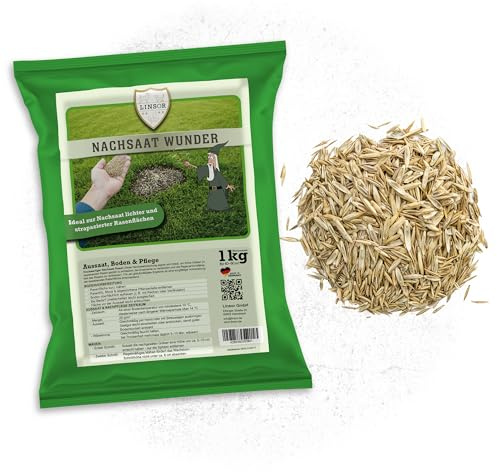 Nachsaat Wunder 1kg Rasensamen Schnellkeimend für Rasennachsaat | Rasen Reparatur Set zum Lücken Schließen, Rasensaat Nachsaat für kahle Stellen, ideal zum Rasen nachsäen im Garten