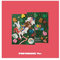 NCT DREAM - Winter Special Mini Album Candy Photobook ver. CD+Folded Poster (+Folded Poster)