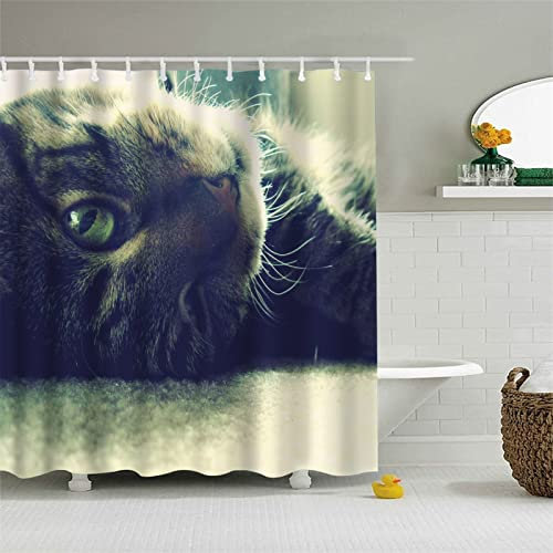 Graue Kurzhaar 3D Motiv Textil Waschbar Duschvorhang 120 X 200 cm，duschvorhang Anti-schimmel Wasserdichter für Badewannedusche Eckdusch Gartendusche