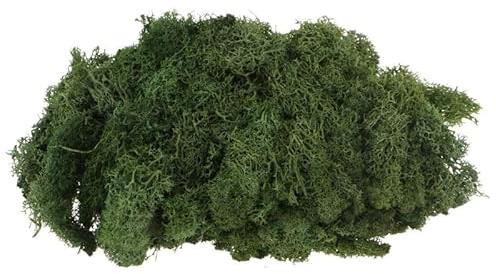 Warmiehomy Fake Moss 100g Artificial Moss for Indoor Outdoor Plant Pots, Natural Decorative Dark Green Fuax Mosses for DIY Crafts, Weddings, and Home Décor