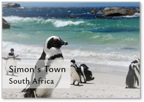 Kühlschrankmagnet Pinguine in der Nähe von Simon's Town, Südafrika
