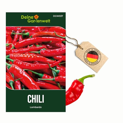 Chili Lombardo Samen - sehr mild - Capsicum annuum - Chilisamen - Gemüsesamen - Saatgut für 30 Pflanzen – 3er Pack (Vorratspack)