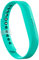 AIUNIT Kompatibles Flex 2 Band, Ersatz für Flex 2 Zubehör, verstellbares klassisches Sport-Fitness-Armband mit Metallverschluss für Flex 2 kleine große Männer Frauen ohne Tracker, C20-Blaugrün, Small