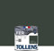 Tollens - Peinture extérieure fer 2 en 1 - Ultra Résistante - Protection antirouille - Laque Riche en Résine - Sans Sous-Couche - Entretien Facile - Satin - Vert Sapin - 0,5L = 8m2