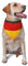 Dreieckiges leichtes Hundehalstuch, deutsche Flagge, Hundehalstücher und Katzen