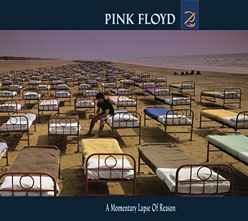 A Momentary Lapse of Reason
