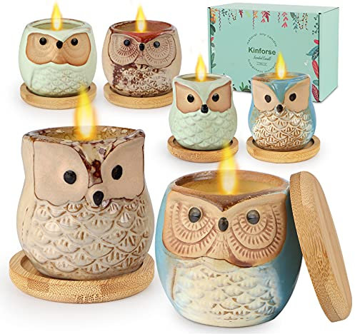 Lot de bougies parfumées à la citronnelle - Cadeau de jardin pour femme - Chouette - Bougies de soja naturelles pour décoration de jardin - Bougies d'aromathérapie en vrac