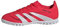 adidas Predator Club Turf Football Boots Kids, Lucid Red/Cloud White/Core Black, 2 UK Child