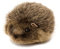 Teddys Rothenburg Kösen, Igelchen, 11 cm, liegend, grau, Stoffigel, Stoffigelchen