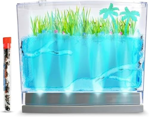 Lighted Gel Ant Habitat Kit with Live Ants (1 Tube) Eco-Terrarium Bundle