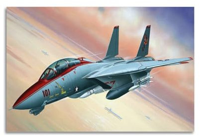 LADV Militärflugzeug-Poster US F-14 Tomcat Angriffsflugzeug Kampfflugzeug dekoratives Gemälde Leinwand Wandkunst Bild 40 x 60 cm