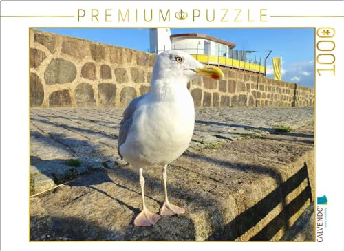 CALVENDO Puzzle Möwe am Alten Hafen von Sassnitz | 1000 Teile Lege-Größe 64 x 48 cm Foto-Puzzle für glückliche Stunden