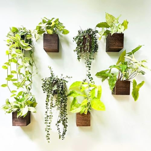 LaLaGreen Pflanzkästen aus Holz für Pflanzen (10,2 x 10,2 cm, 8 Stück), kleine quadratische Wand-Pflanzgefäße für Zimmerpflanzen, Kräuter-Holzkiste, hängender Blumentopf, Pflanzenhalter, Außenzaun