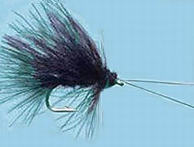 Turrall Caddis Sedge CDC Black Trout Fishing Dry Flies Pack of 3