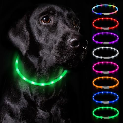 Nepfaivy Leuchthalsband Hund USB Aufladbar - Wasserdichtes Hundehalsband Leuchtend mit Verstellbarer Länge, LED Halsband für Hunde mit 3 Beleuchtungsmodi für Sicherheit, Grün