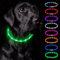 Nepfaivy Leuchthalsband Hund USB Aufladbar - Wasserdichtes Hundehalsband Leuchtend mit Verstellbarer Länge, LED Halsband für Hunde mit 3 Beleuchtungsmodi für Sicherheit, Grün