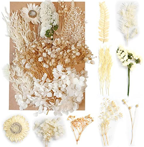 Naturali Fiori Secchi Veri Fiori Secchi, Naturali Foglie Floreali per Resina Pressati Set per Resina Epossidica Bouquet Fiori Secchi Artigianato Scrapbooking Decorazioni Floreali (Stile A)