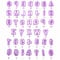 40PCS Alphabet Cookies Cutters Set – Fondant Alphabet Cutter Plastic Letter Cutters Icing Cutters Cake Decorating, Fondant Letter Cutters Set Cookies Cake Cutting Accessories