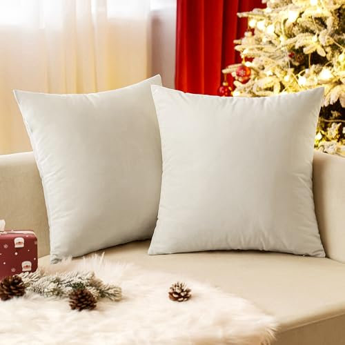 EMEMA Samt Kissenbezug Kissenhülle Dekorative Dekokissen Sofakissen Lendenkissen Wurfkissenbezug mit Verstecktem Reißverschluss Sofa Schlafzimmer 2er Set 40x40 cm Creme weiß