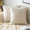 EMEMA Samt Kissenbezug Kissenhülle Dekorative Dekokissen Sofakissen Lendenkissen Wurfkissenbezug mit Verstecktem Reißverschluss Sofa Schlafzimmer 2er Set 40x40 cm Creme weiß