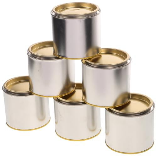 DOITOOL 6 Pièces en Plastique Contenants De Peinture Boîtes De Conserve avec Couvercles Peinture des Conteneurs De Stockage Pots De Peinture Vides avec Couvercles Pot De Stockage Métal
