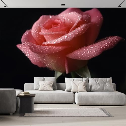 Fototapete Rosa Rose 300x210cm Seide Foto Tapete Rosentau XXL Wandtapete für Wohnzimmer Schlafzimmer Esszimmer Wanddekoration