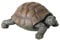 Boltze Figur Slomo Schildkröte (Dekofigur für Garten / Indoor, echtes Design, Maße 34x25x14 cm, Figur aus Kunststoff) 3784300
