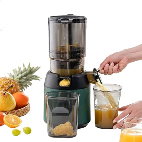 FAcoLL 300W Professional Slow Juicer, 13cm Feeding Chute, Portable Pomace Separation, Quiet Motor, For Fruits, Vegetables, Leafy Greens, Wheatgrass, Hard Vegetables