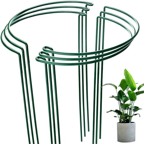 QIYILE Pali di supporto per piante in metallo, 6 pezzi, supporto per piante in vaso, supporto per piante in vaso, peonie, ortensie