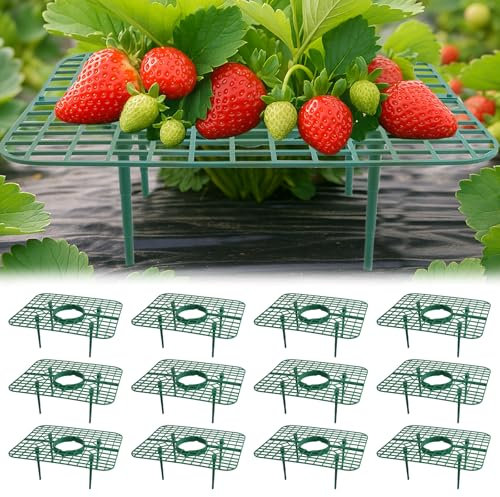 AONYIYI 12 pièces Support Fraises Carré – 4 Pieds Stables, Anti-limaces & moisissure, Grillage végétal pour fraisiers, tomates, Potager – Plastique réutilisable