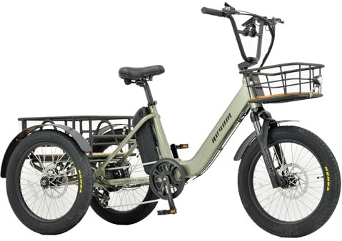 REVOM Electric Trike Cargo E-bike Light Green, with 48V15Ah Lithium Battery&250W High-Speed Motor&7-Speed Shifter and 20-3 inch Kenda Tyre,Riding Range 50-80km,Adult Electric Tricycles for Men&Women.