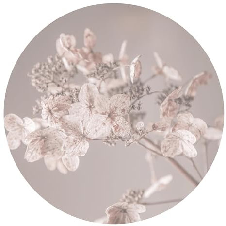 Runde Fototapete selbstklebend - 3D Blumen Vliestapete Made in Germany UV-beständig Geruchsfrei - Motivtapete Landhaus beige Wohnzimmer Schlafzimmer 2733-SK (75x75cm)