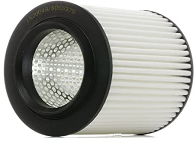 RIDEX 8A0352 Luftfilter Kompatibel mit AUDI A8 4E2, 4E8