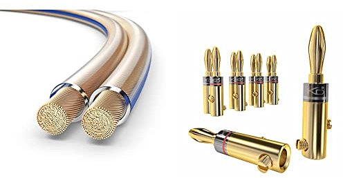 PureLink SP020-010 Lautsprecherkabel 2 x 4,0mm² (99,9% OFC Vollkupfer 0,10mm Litze) Hifi Boxenkabel, 10m, transparent & KabelDirekt – Bananenstecker – 5 Paare