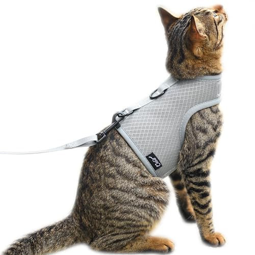 Katzengeschirr und Leine zum Spazierengehen, ausbruchsicher, atmungsaktives Netzgewebe, einfarbig, grau, Größe M, verstellbare Katzenweste, gepolstert, stilvolle Katzenweste