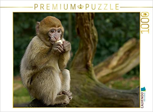 CALVENDO Puzzle EIN Motiv aus dem Kalender Einfach affig | 1000 Teile Lege-Größe 64 x 48 cm Foto-Puzzle für glückliche Stunden