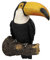 Tukan Ornament Skulptur aus Kunstharz, Vogel Skulptur Baumfigur Gartenfigur für Garten Balkon Baum