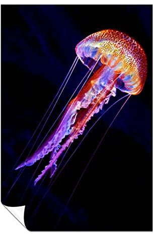 Panther Print Fine Art Prints Colorful Glowing Jellyfish underwater Artistic Unframed Poster, Pictures for Home Walls, Bedroom, Living Room & Bathroom Decor 61x41cm (24x16in)