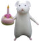 Kalttoy Felt Cute Animals Ornament Handmade Christmas Halloween Mouse Crutch/Cake/Hat/Pumpkins For Home Festive Decorations Animals Needle Felt Christmas Decorations