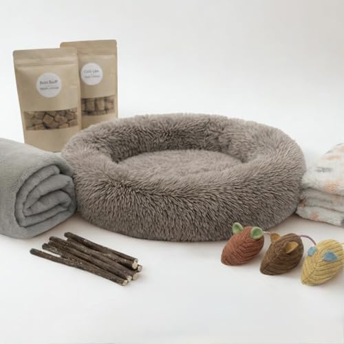 OnlyCats Welcome Home Kitten Starter Kit with Calming Bed, Soft Blanket, 3 Catnip Mice Toys, Natural Chew Sticks, Premium Treat Pouches
