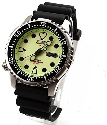 Citizen Armbanduhr NY0040-09W