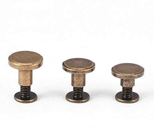 HEEPDD 20 Pezzi Rivetti in Pelle Artigianale, Viti a Testa Piatta Filettate in Ottone Resistente Rivetto per Cintura Borsa Artigianato in Pelle Fare(8mm)